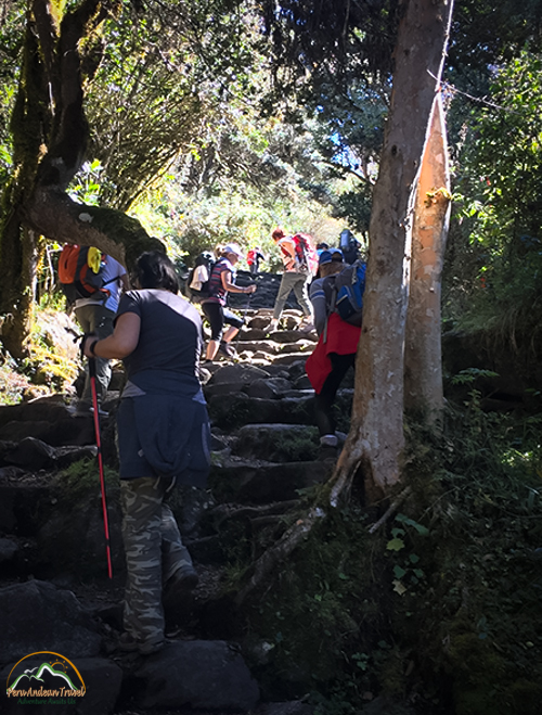 Inca Trail